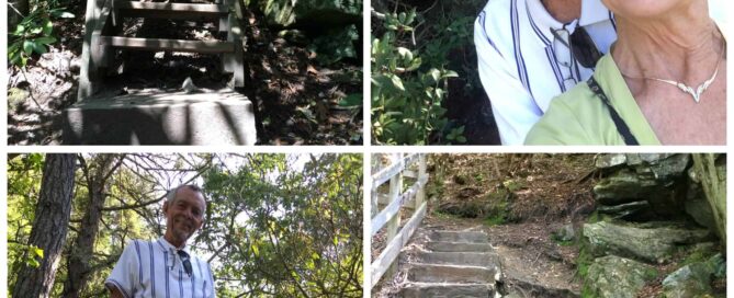 hiking in Asheville